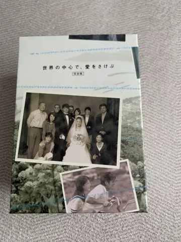 세상의 중심에서, 사랑을 외치다 DVD