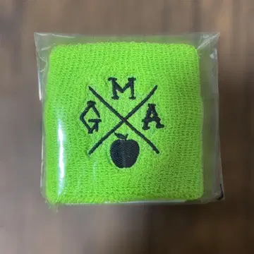 Mrs. GREEN APPLE 리스트 밴드
