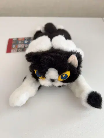 맨해트너즈 천사 고양이