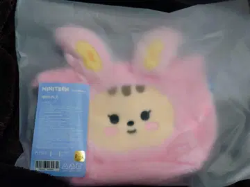 MINITEEN 정한 파우치