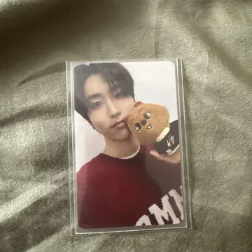 straykids 한지성 트레이딩 카드