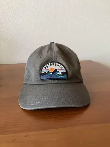 PATAGONIA 그레이 캡