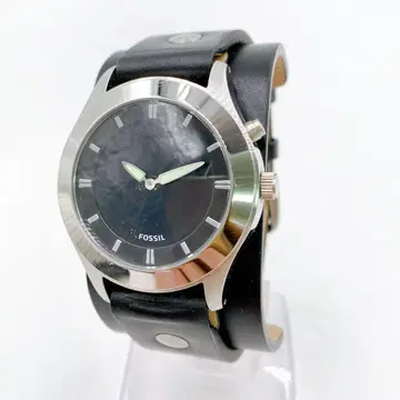 9AAM002 FOSSIL BIG TIC 아나데지 FS5739 손목시계