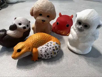 손안의 프렌즈