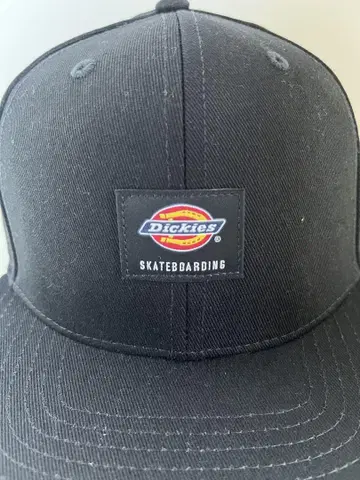 DICKIES SKATEBOARDING 디키즈