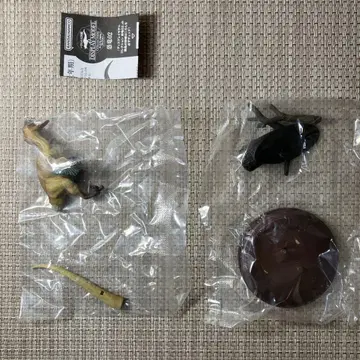 생물대도감 공룡02 벨로키랍토르