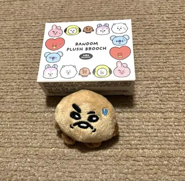 BT21 TODAY'S FACE 페이스 브로치 SHOOKY