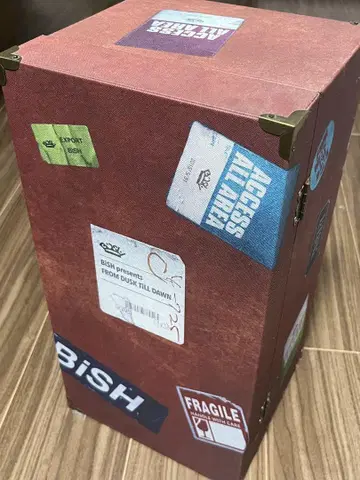 BiSH presents FROM DUSK TiLL DAWN 박스 포함