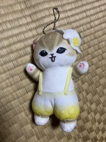한정판! 모프 샌드 1번 복권 C상