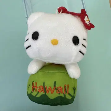 초레어 하와이 한정판 다이아몬드 헤드 한정판 산리오 Sanrio