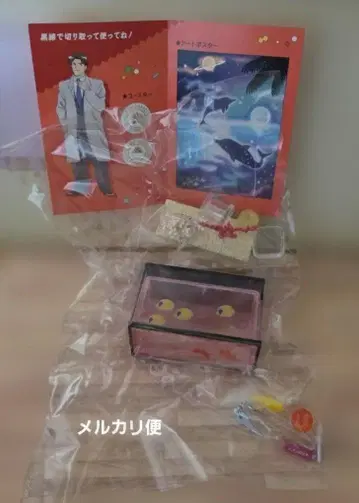 플레이백 청춘 DAYS