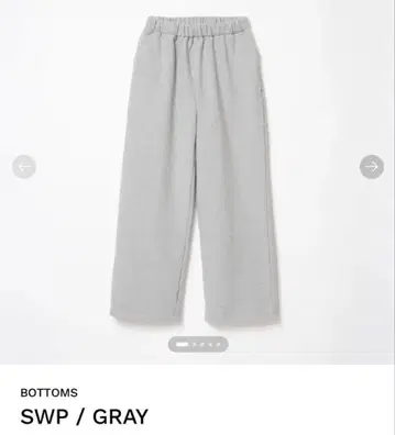 THE SHISHIKUI SWP/GRAY