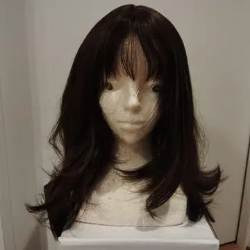 롱 가발