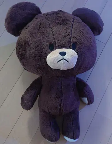 곰돌이 학교의 곰 봉제 인형