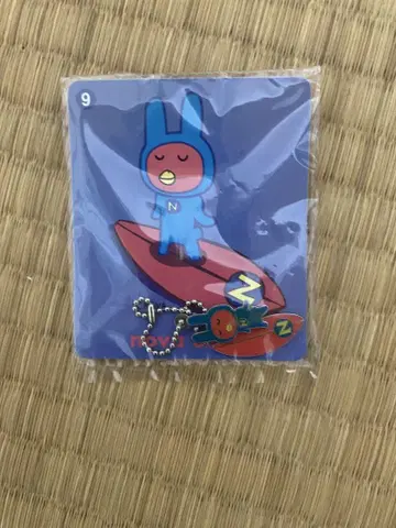 nova usagi 스트랩 4개 세트