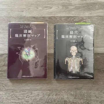 두침 혈침 임상 해부 맵