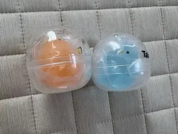 젤피요 오션 블루 오렌지