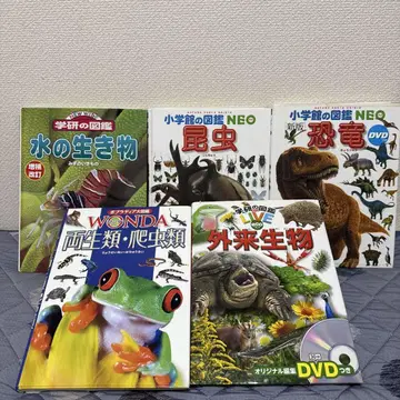 도감 6권 세트 소학관 학연 WONDA 생물 공룡 곤충 DVD 없음