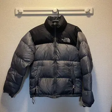 THE NORTH FACE 눕시 자켓