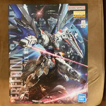 MG 프리덤 건담 Ver.2.0