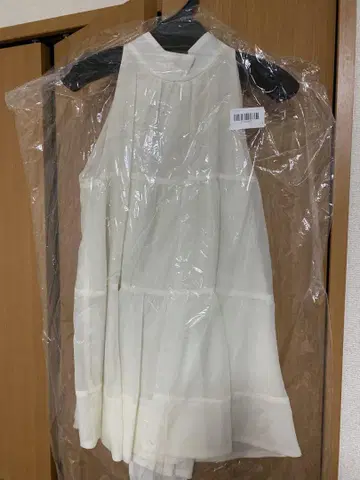 릴리 브라운 아메슬리 상의