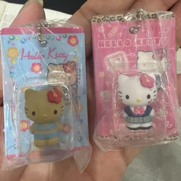 HELLO KITTY 패키지 미니어처 컬렉션 일광화상 / 갸루 1