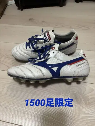 모레리아 2 JAPAN 24.5cm 다나카 아오