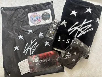 Straykids 5star 돔 투어 업그레이드 혜택