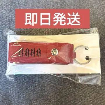 HANA 로고 립 케이스 빨간색 미개봉 새상품