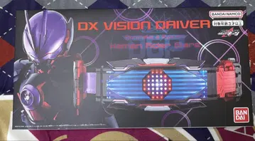 DX 비전 드라이버