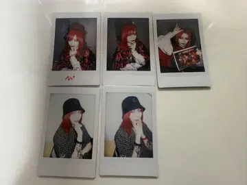 Royz 코다이 홋카이도 폴라로이드