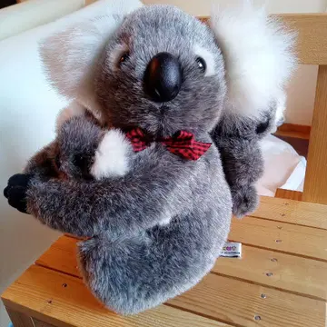 코알라 봉제 인형 아기와 어린이 포함 약 20cm