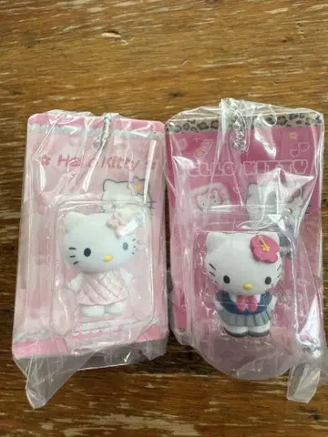 패키지 미니어처 컬렉션 키티 2체 세트