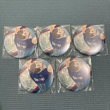 하이큐 V 리그 캔뱃지 오이카와 토오루