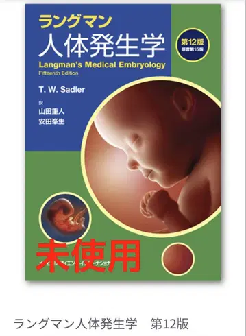 랭그먼 인체 발생학 제12판