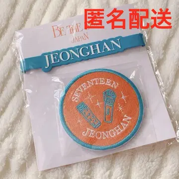 SEVENTEEN 정한 데코 반지 BE THE SUN 와펜