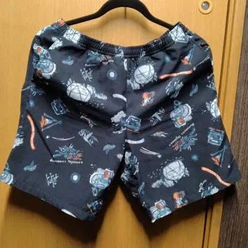 THE NORTH FACE 알로하 벤트 숏팬츠