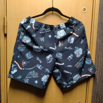 THE NORTH FACE 알로하벤트 숏팬츠