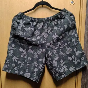 THE NORTH FACE 알로하 벤트 숏팬츠