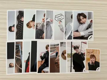 쿄모토 타이 가 공식 사진 17장 세트