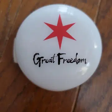 한정품 후쿠야마 마사히로 Great Freedom 싱크로 라이트 뱅글