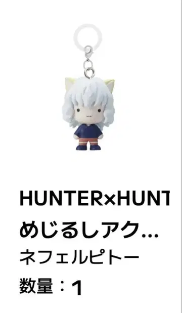 HUNTER x HUNTER 메지루시 액세서리 네페르피토
