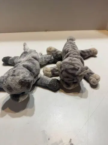그레이 고양이 디자인 봉제 인형 당일 발송