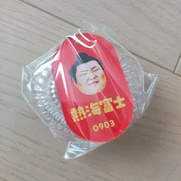 아타미 후지 세키 키링