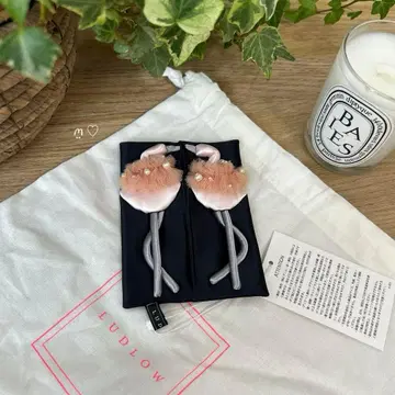 새상품 LUDLOW 라드 로 플라밍고 티슈 케이스 튤 펄 자수