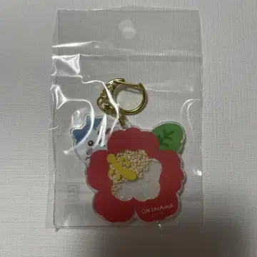 치이카와(먼작귀) 시사 기념품 가게 샤카샤카 키링 하치와레