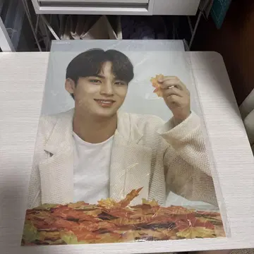 seventeen 민규 ode to you 클리어 포스터