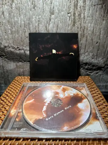 pure gray numan 수입반