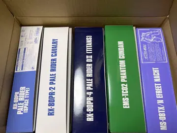 프리미엄 반다이 건담 프라모델 세트