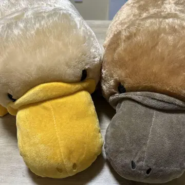 가장자리 오리너구리 봉제 인형 세트